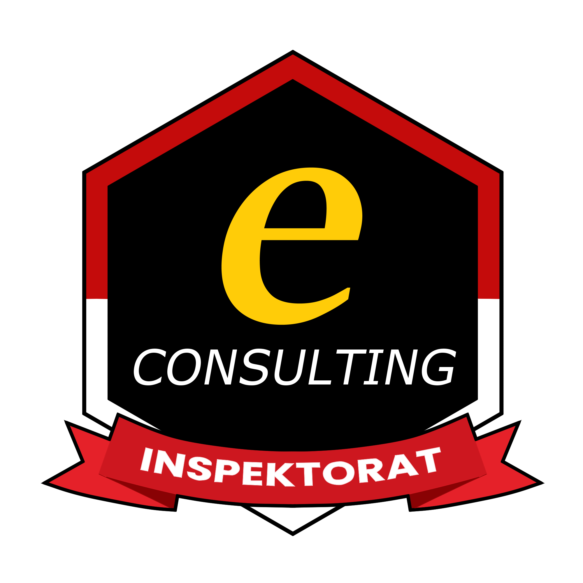 Logo e-Consulting